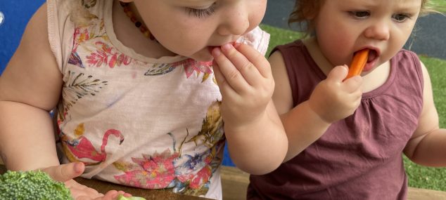 NSW Students Take on ‘Big Vegie Crunch’ Record